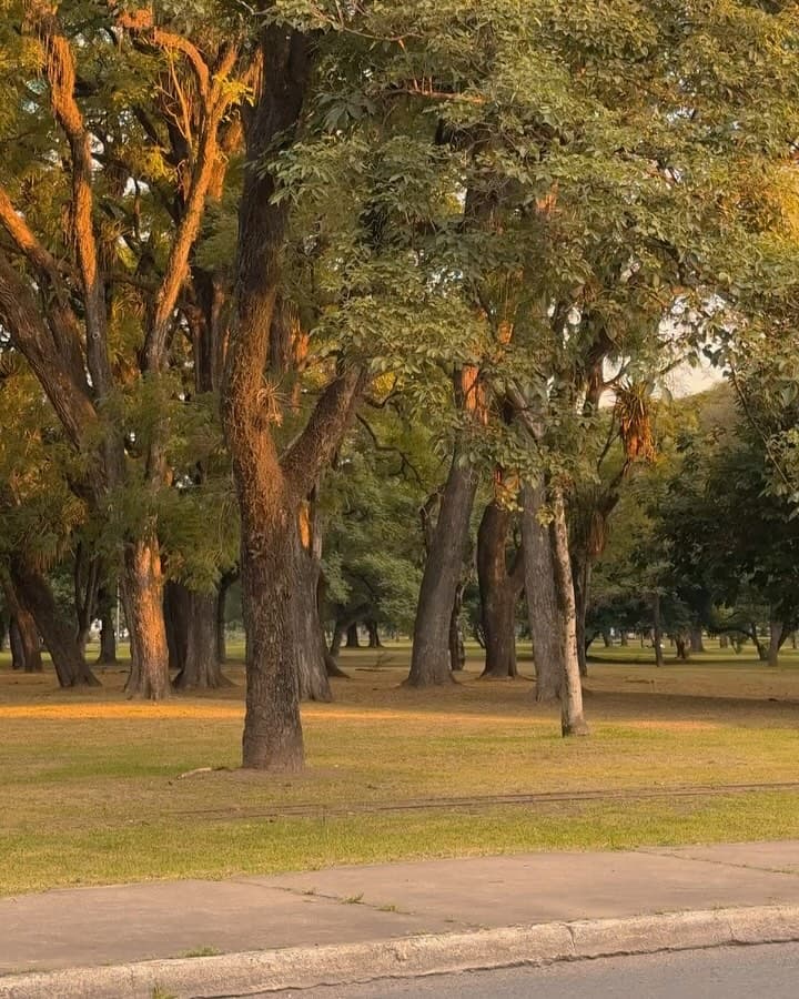 Postales perfectas de nuestro Parque 9 de Julio — Rincones, Tucumán, Argentina